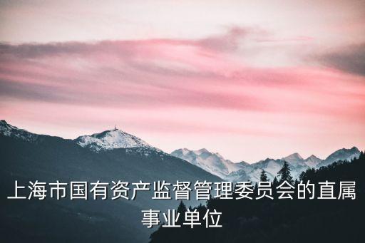 上海市救助管理站 管理國(guó)有資產(chǎn)，救助管理站的介紹