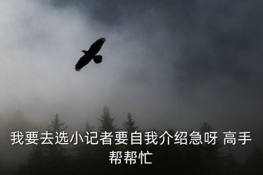 小記者自我介紹，小記者面試自我介紹