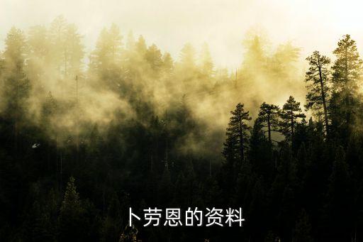 卜勞恩的資料