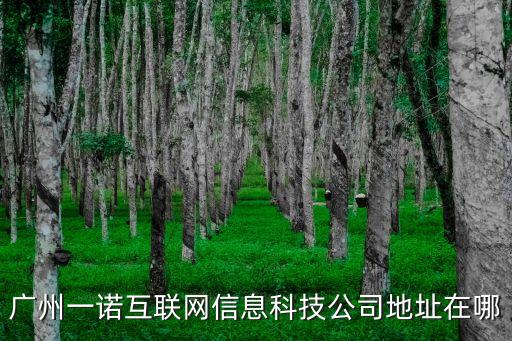 廣州一諾互聯網信息科技公司地址在哪
