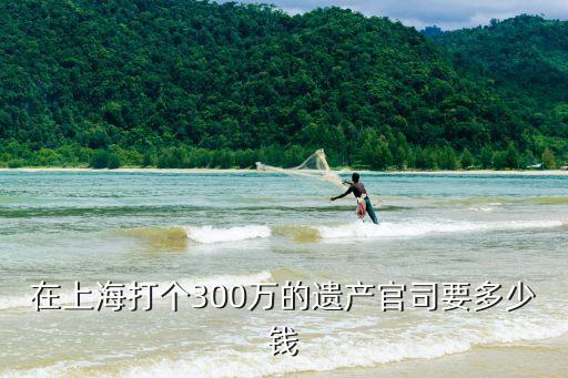 上海市繼承法律師大概多少錢(qián)，在上海打個(gè)300萬(wàn)的遺產(chǎn)官司要多少錢(qián)