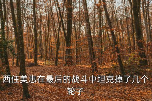 最后的坦克戰，一起二戰的電影最后是兩人坦克對決是一部老電影