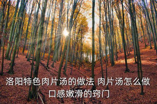 洛陽特色肉片湯的做法 肉片湯怎么做口感嫩滑的竅門