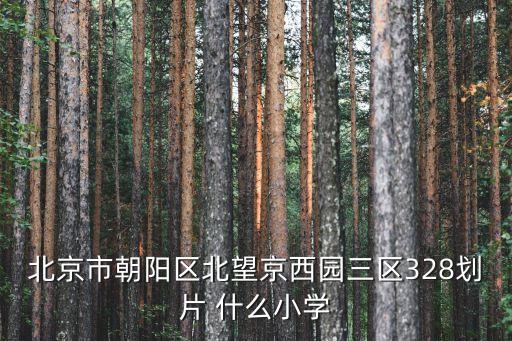 北京學區(qū)劃分，北京 小學 劃片