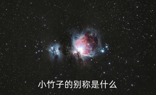 小竹子的別稱是什么