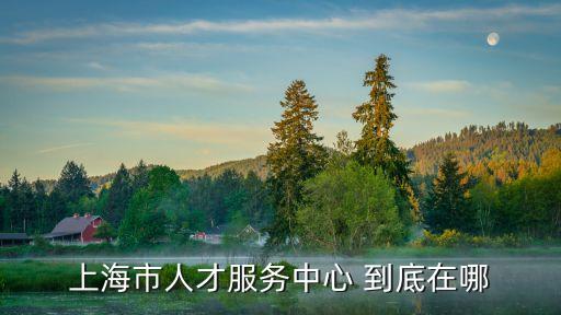 上海市人才服務中心 到底在哪