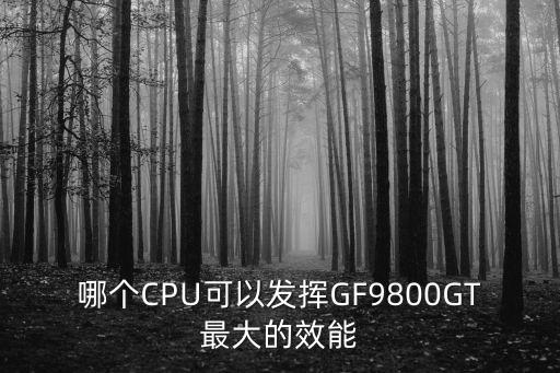 最大效能，哪個(gè)CPU可以發(fā)揮GF9800GT最大的效能