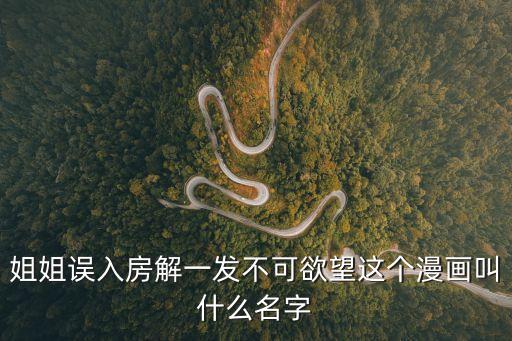 姐姐誤入房解一發(fā)不可欲望這個漫畫叫什么名字
