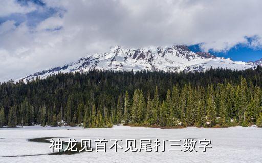 神龍見首，神龍見首不見尾打三數字