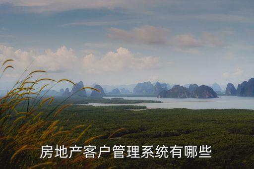 房地產(chǎn)客戶管理系統(tǒng)有哪些