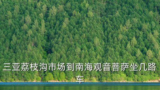 三亞荔枝溝市場到南海觀音菩薩坐幾路車