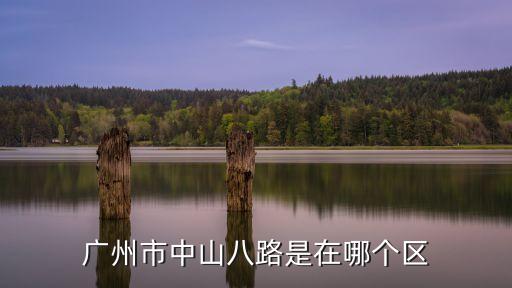 廣州市中山八路是在哪個(gè)區(qū)