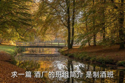 班組簡(jiǎn)介，求一篇 酒廠的班組簡(jiǎn)介 是制酒班