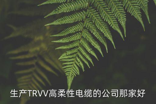 上海市正芯電線電纜有限公司，上海哪里有高溫線高溫線價格