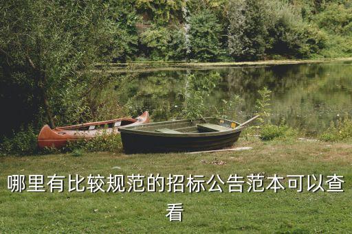 招標公告范本，哪里有比較規范的招標公告范本可以查看