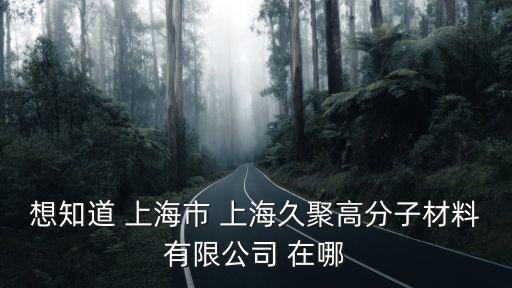 想知道 上海市 上海久聚高分子材料有限公司 在哪