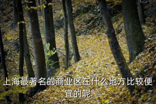 上海市康健商業城，上海商業區介紹