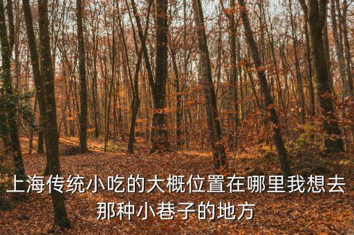 上海市古法傳統牛肉湯面銀都路店，小儀與金剛的街坊廚神每集介紹請詳細說明每集所去的地區哪間店