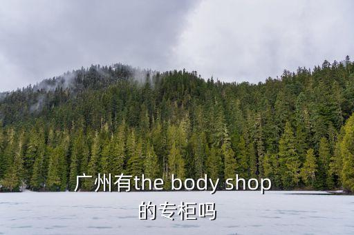 廣州千譽美體內衣銷售部，廣東哪里有THE BODY SHOP買呢