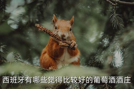 pingus，維加西西利亞和彭高斯是否是西班牙紅葡萄酒