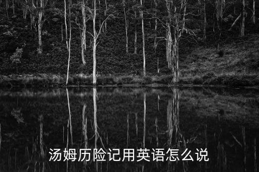 湯姆歷險(xiǎn)記用英語(yǔ)怎么說(shuō)