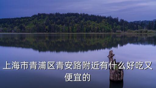 上海市天使雞排青浦城區，上海市青浦區青安路附近有什么好吃又便宜的
