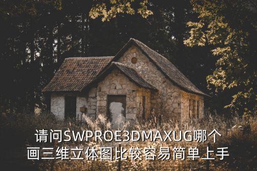 請問SWPROE3DMAXUG哪個畫三維立體圖比較容易簡單上手