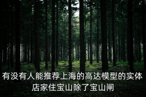 上海市漁湘軒高行店，有沒有人能推薦上海的高達模型的實體店家住寶山除了寶山閘