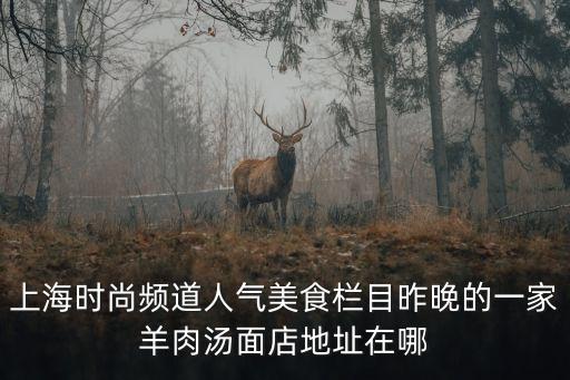 上海時尚頻道人氣美食欄目昨晚的一家羊肉湯面店地址在哪