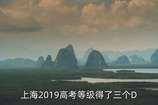上海市通河中學2019 高考，上海2019高考等級得了三個D
