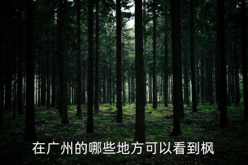 廣州哪有楓葉可看，在廣州的哪些地方可以看到楓