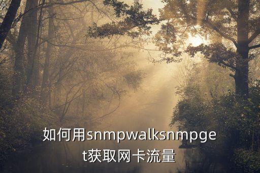 如何用snmpwalksnmpget獲取網(wǎng)卡流量