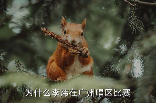 廣州和同曦比賽沖突，為什么2011SM公司會在廣州舉行比賽