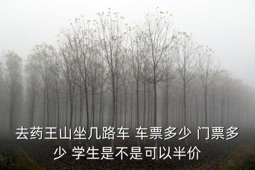 去藥王山坐幾路車 車票多少 門票多少 學生是不是可以半價
