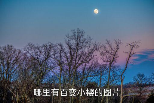 哪里有百變小櫻的圖片