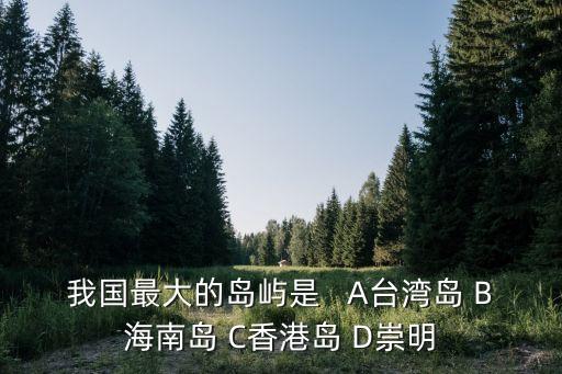 我國最大的島嶼是   A臺灣島 B海南島 C香港島 D崇明