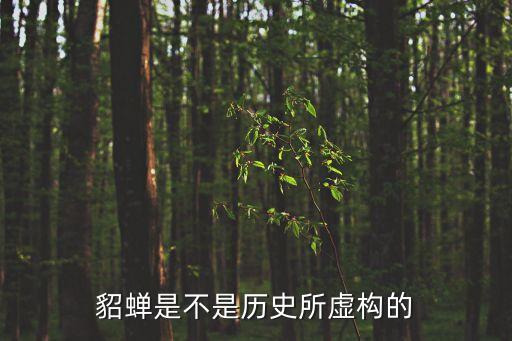 貂蟬是虛構的嗎，貂蟬是虛構的人物嗎