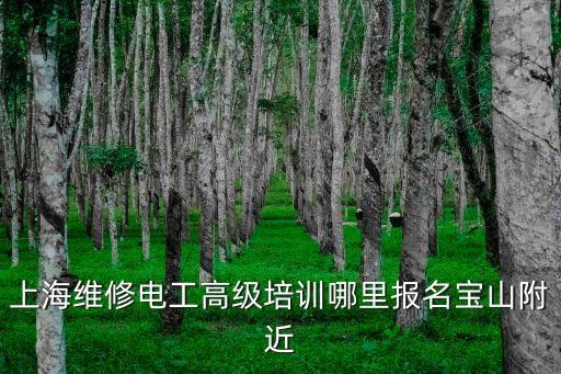 上海市電工培訓(xùn)學(xué)校開課了嗎，上海維修電工高級(jí)培訓(xùn)哪里報(bào)名寶山附近