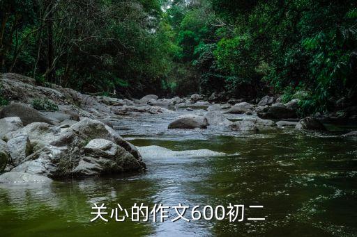 關心作文，關于關心的作文