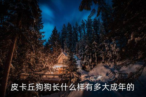皮卡丘圖片，求皮卡丘圖片集合不要百度