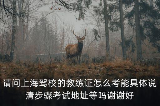 請問上海駕校的教練證怎么考能具體說清步驟考試地址等嗎謝謝好