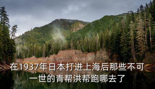 淞滬戰役后的上海市民，上海被占領后有日本人想拉攏中國人的嗎