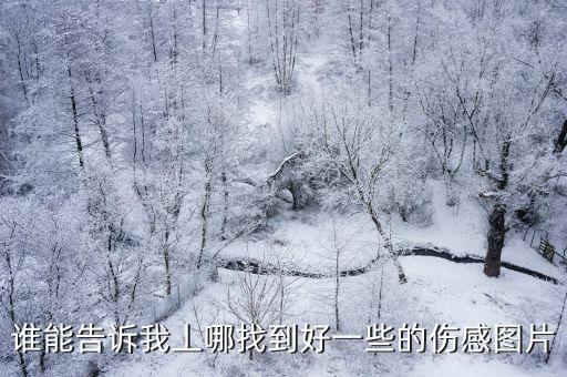 悲哀的圖片，誰能告訴我丄哪找到好一些的傷感圖片