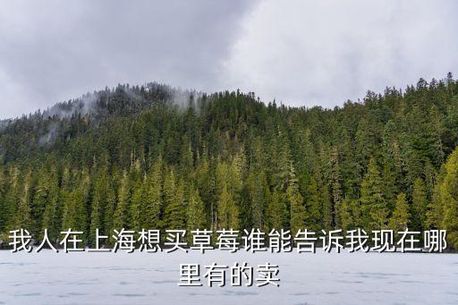 我人在上海想買草莓誰能告訴我現在哪里有的賣