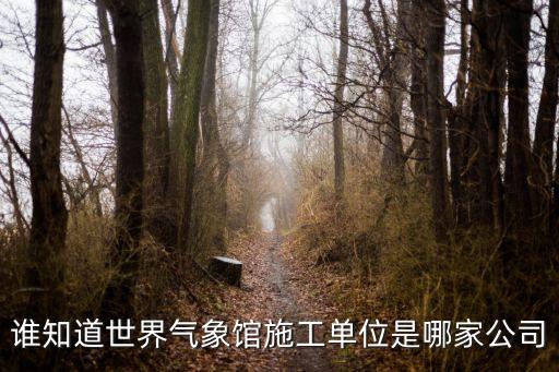 誰(shuí)知道世界氣象館施工單位是哪家公司