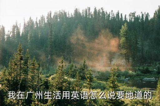我就在廣州的英語怎么說，我打算去廣州用英文怎么說