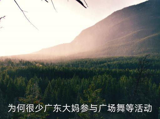 為何很少廣東大媽參與廣場舞等活動