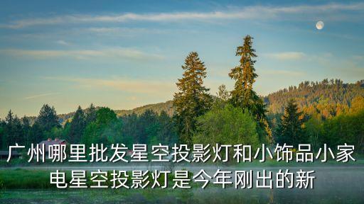 廣州智能投影燈，廣州哪里批發星空投影燈和小飾品小家電星空投影燈是今年剛出的新