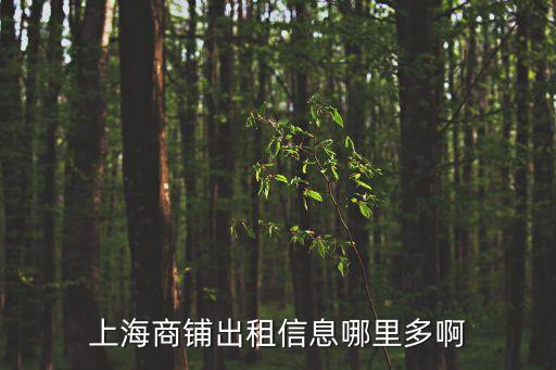 上海市城橋鎮門面轉讓出租，上海哪里有門面房出租