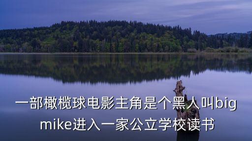 一部橄欖球電影主角是個黑人叫big mike進入一家公立學校讀書